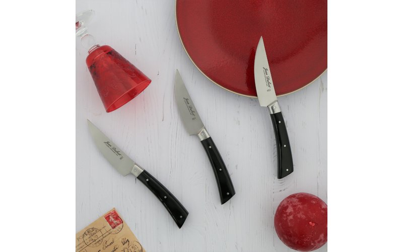 Couteaux de table manche acrylique claire